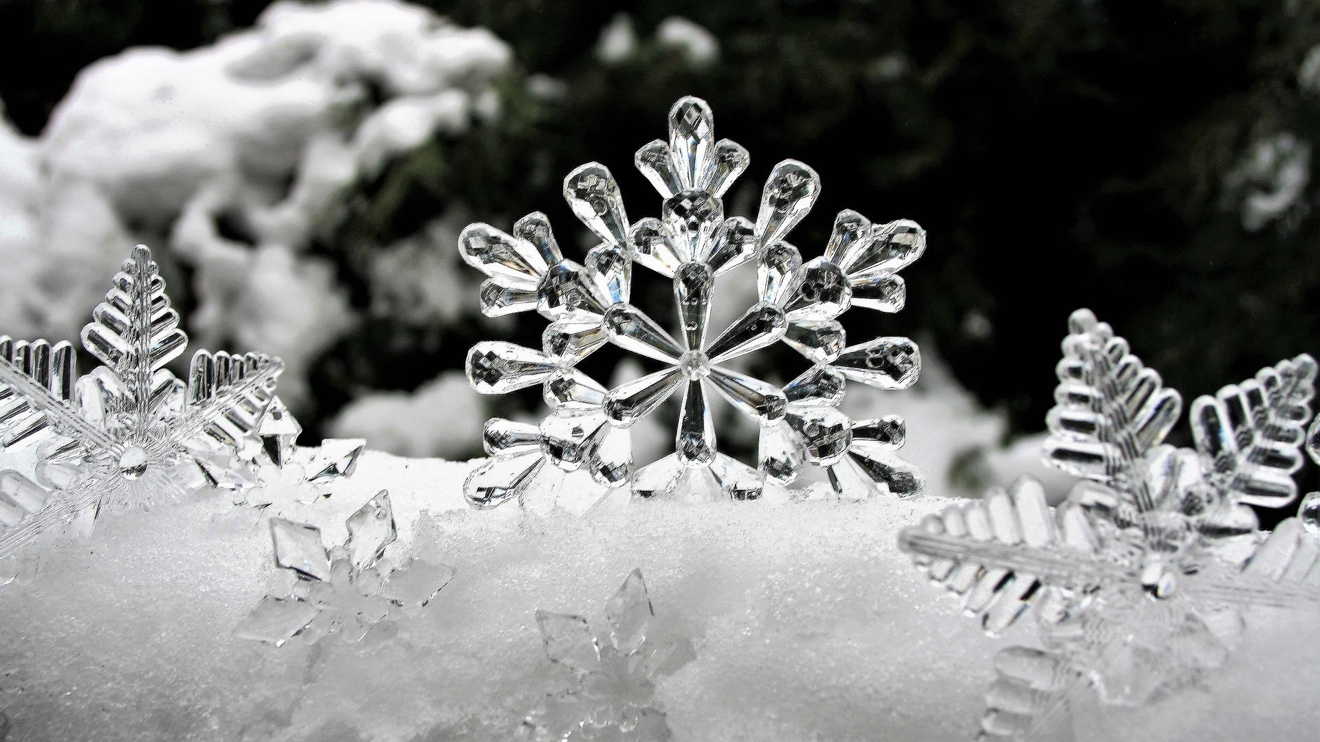Snowflakes