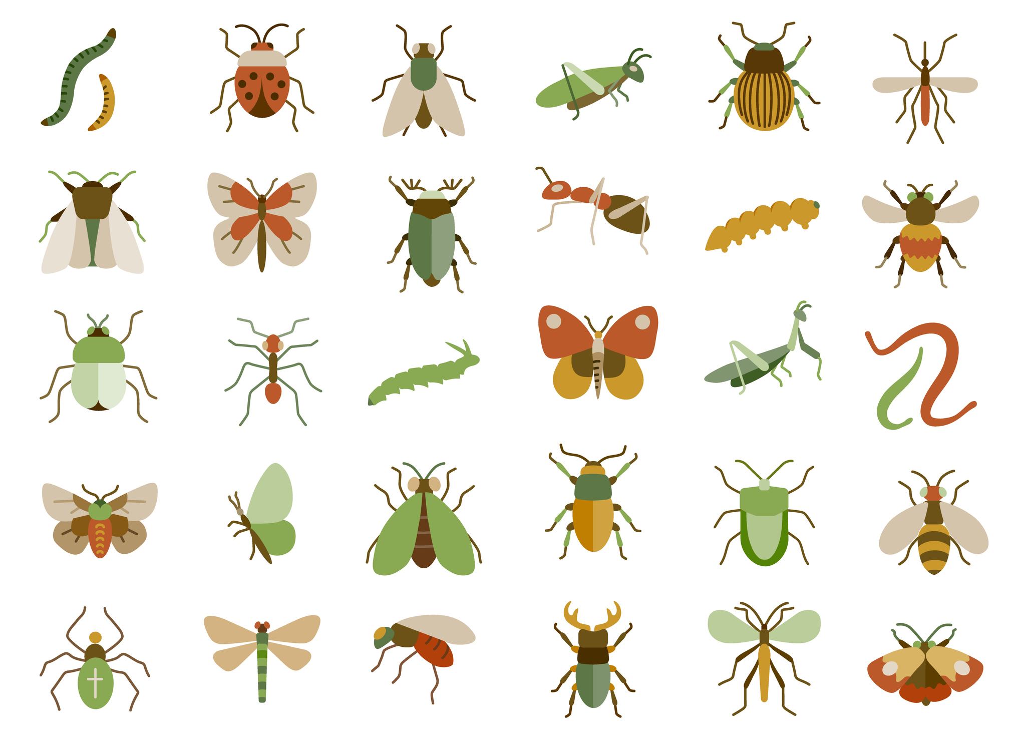 Y3/4 (B): Lesson 1: Grouping living things: Vertebrates and invertebrates