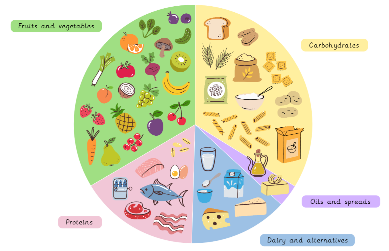 Lesson 1: Food groups