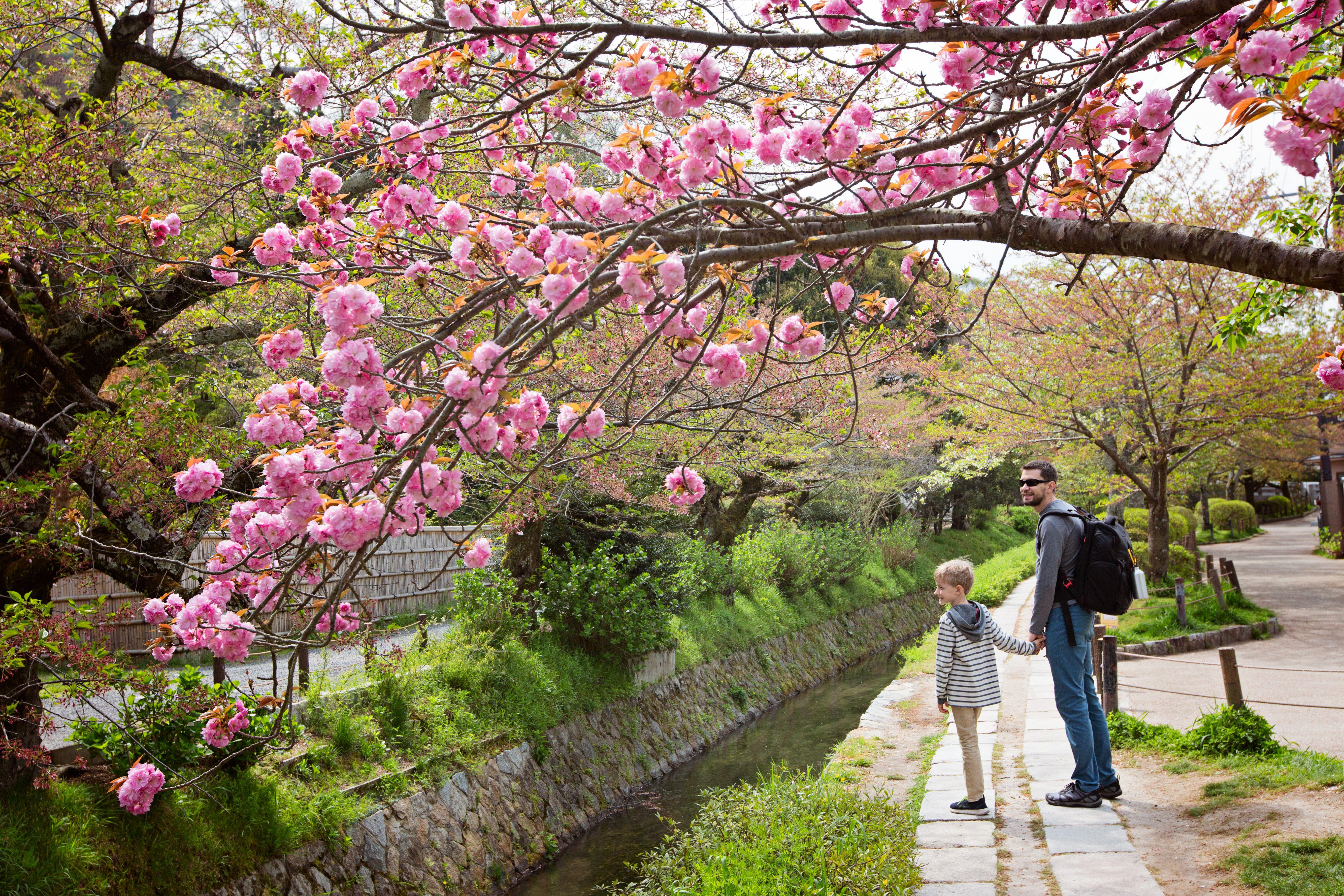 Haiku, music and performance (Theme: Hanami festival)