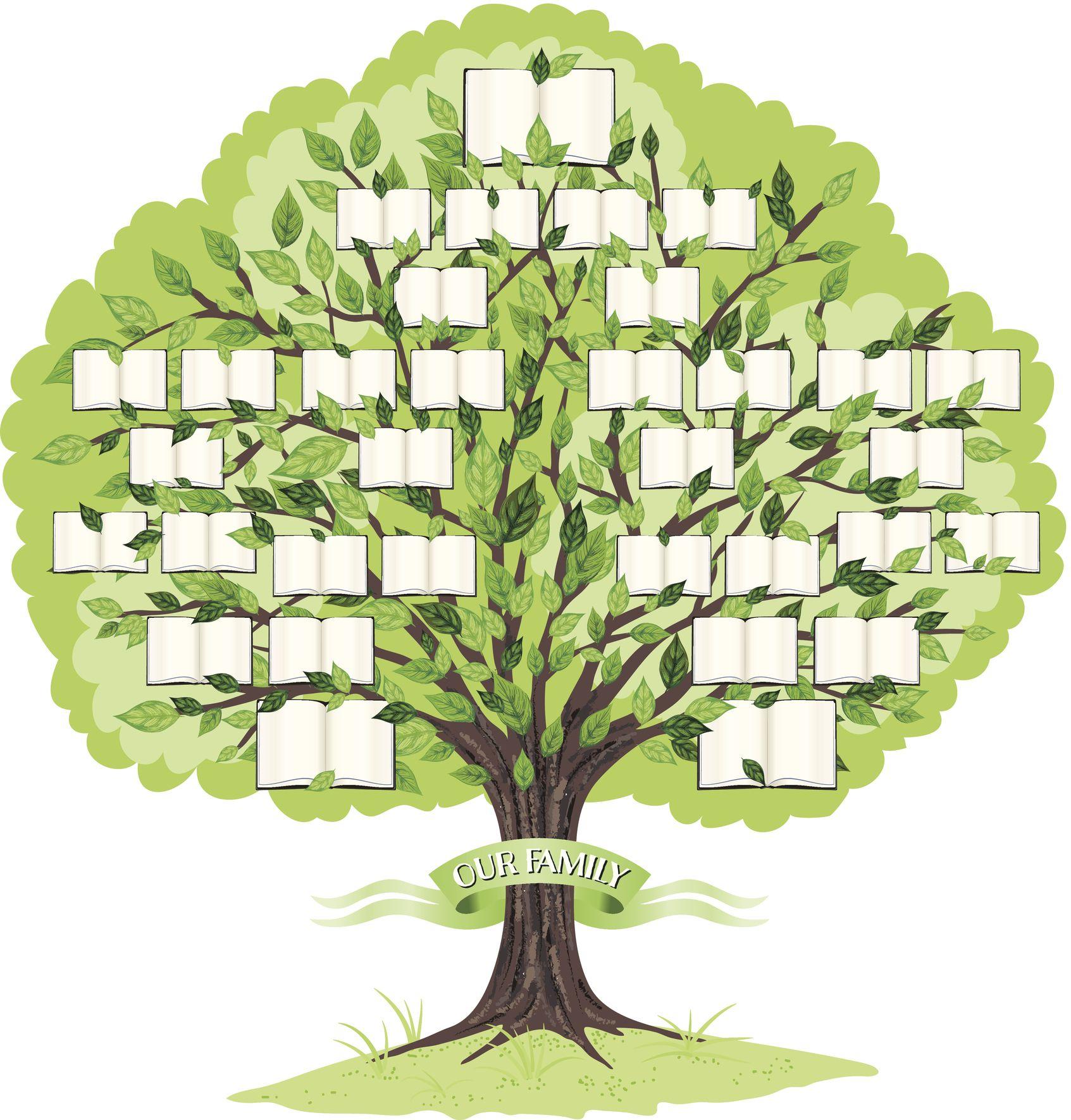 Lesson 2: A French family tree