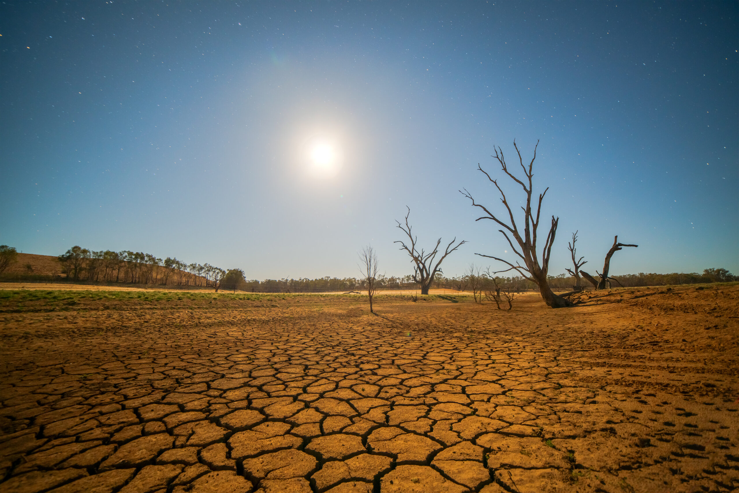 Drought shutterstock 356969456