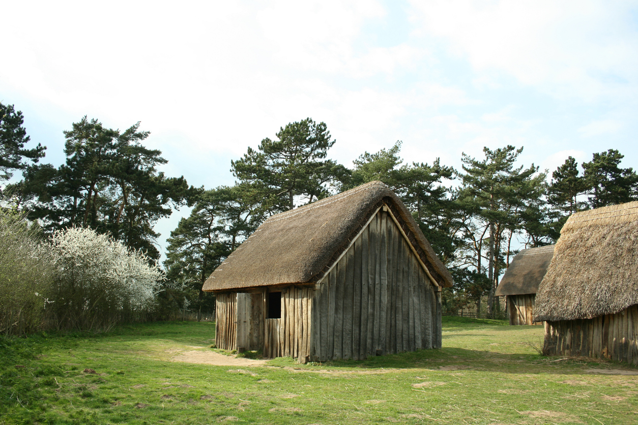 Lesson 2: What did Anglo-Saxon settlements look like?