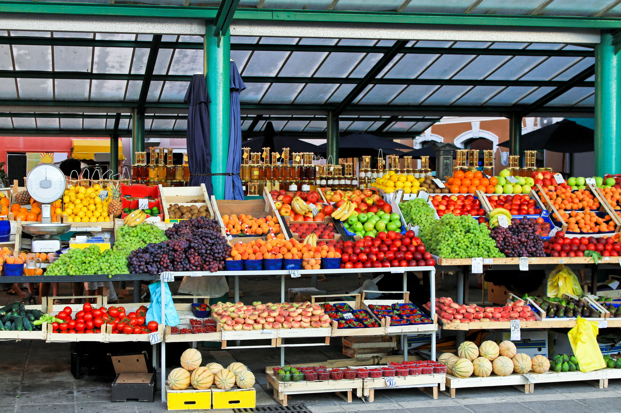 Lesson 1: How can our food choices impact the environment?