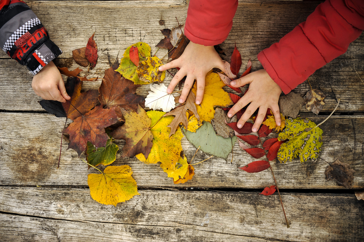 autumn leaves