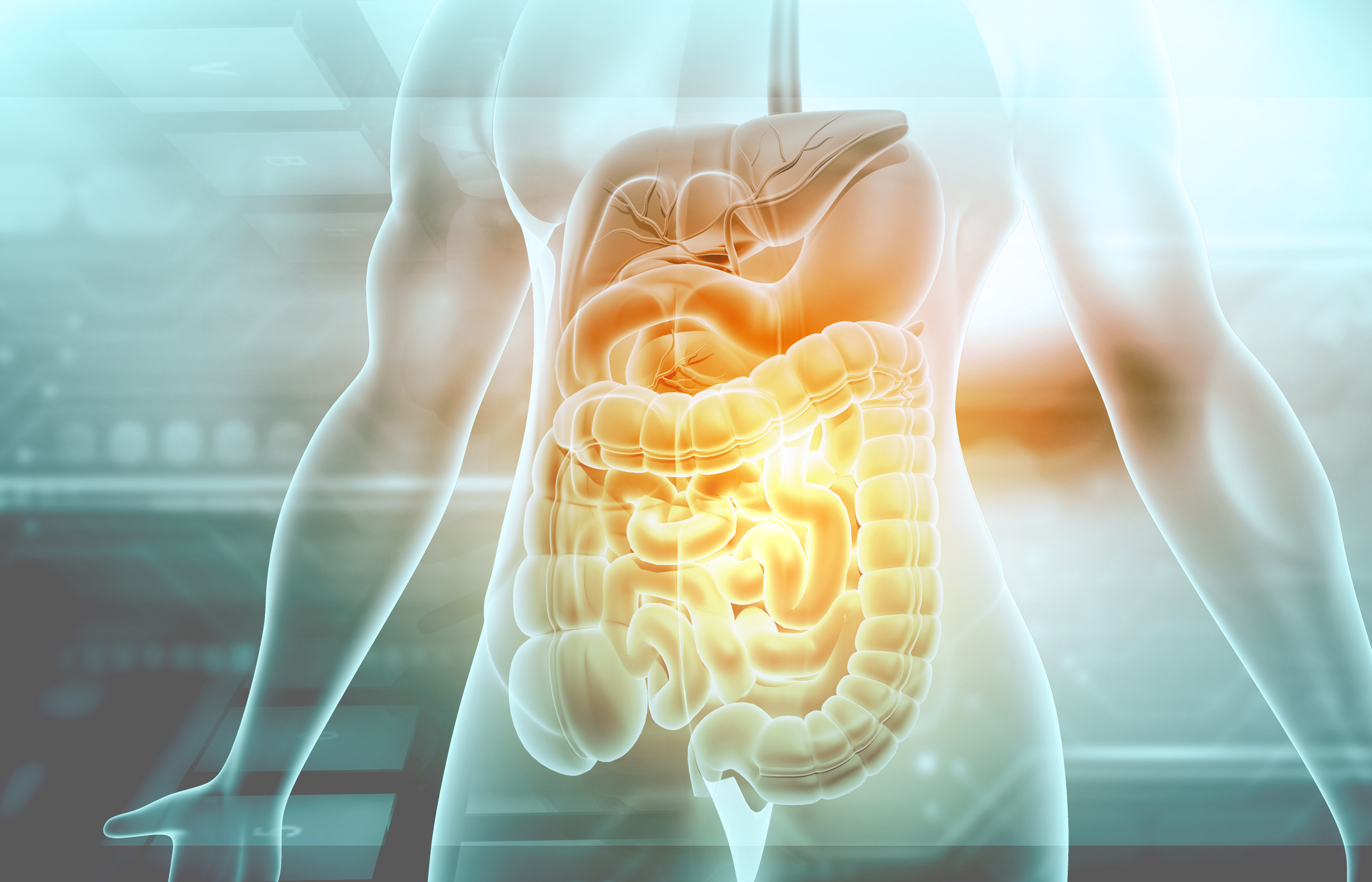 Lesson 1: The human digestive system