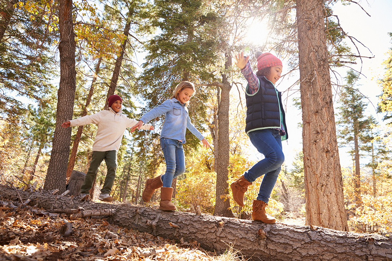 Children playing in the woods