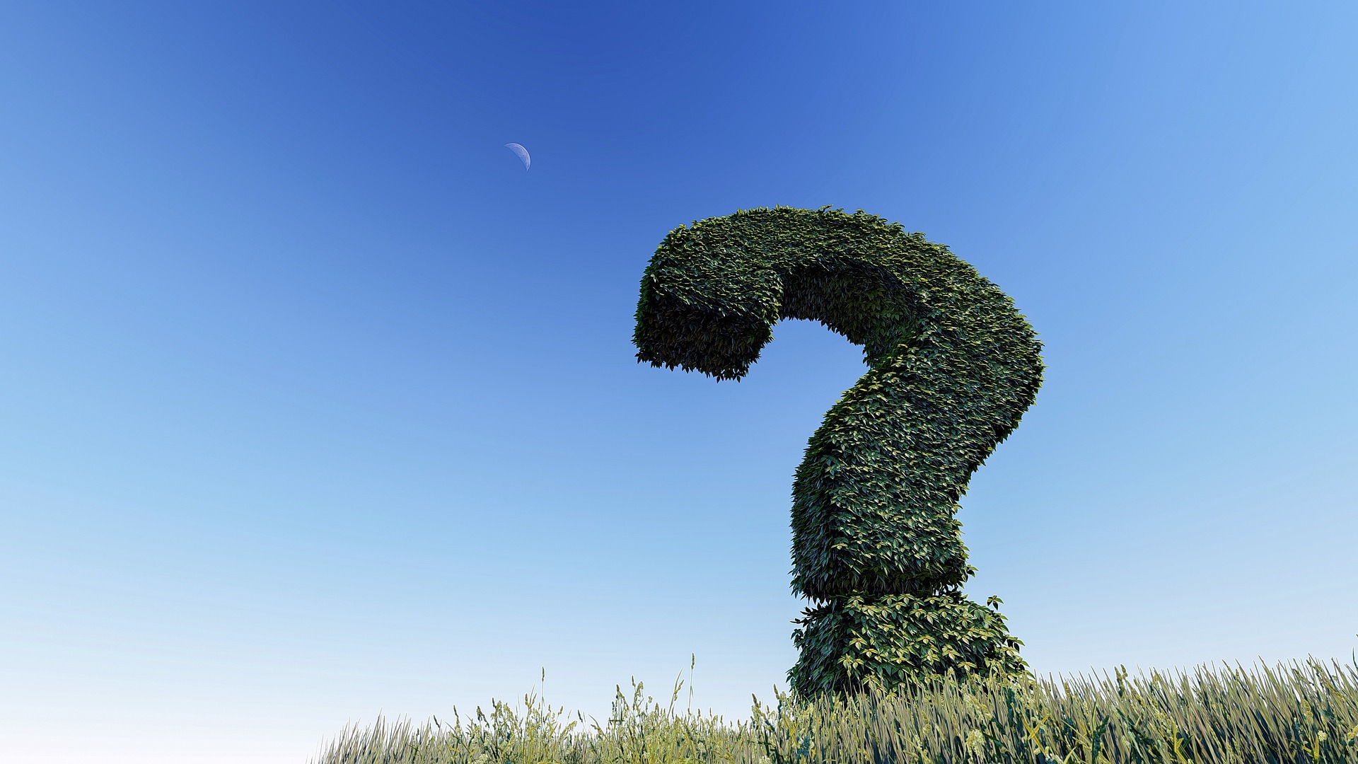 Lesson 3: Giving reasons