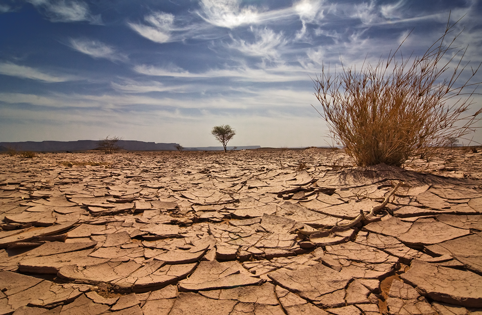 Cracked earth in a desert