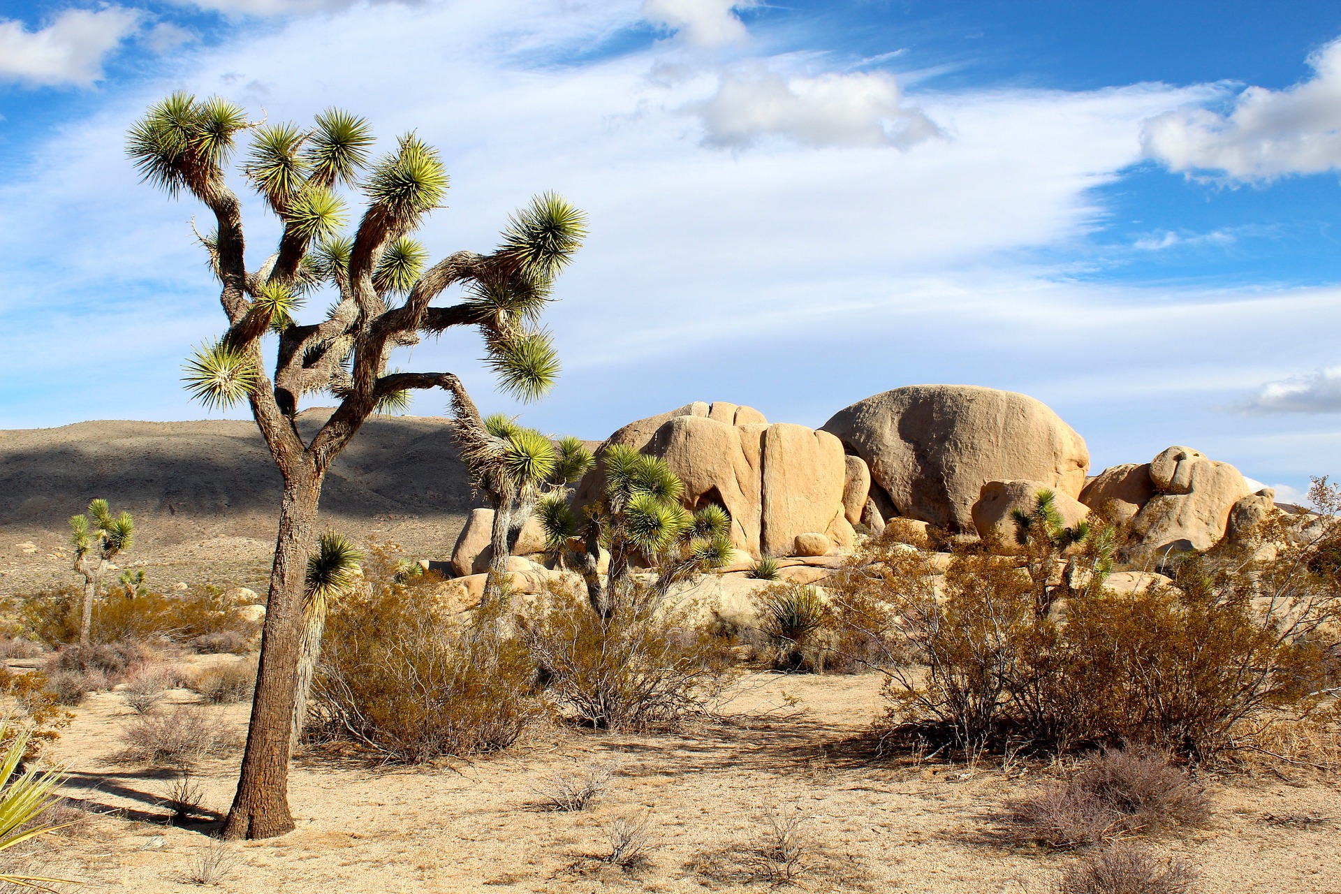 Y5/6 (A): Lesson 3: What physical features are found in a desert?