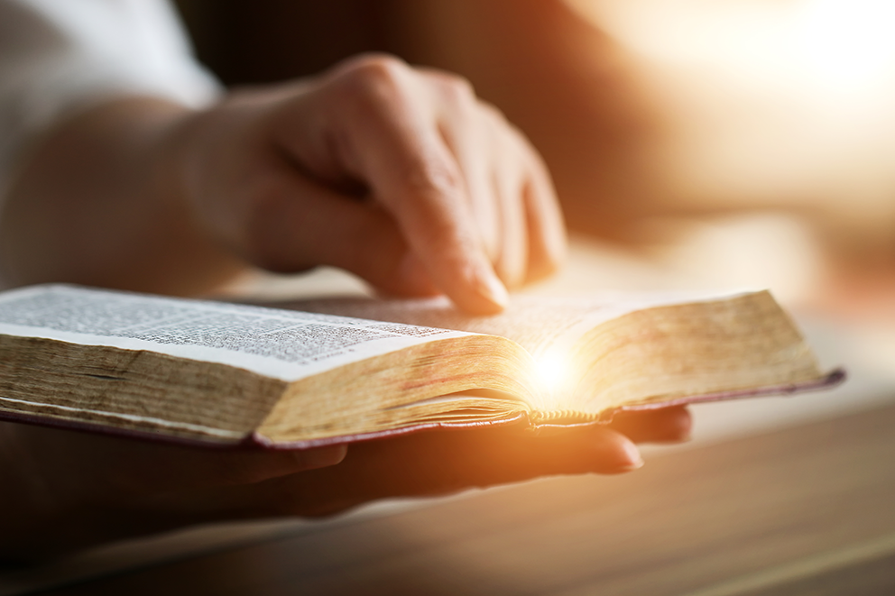 Lesson 3: What did Jesus do?