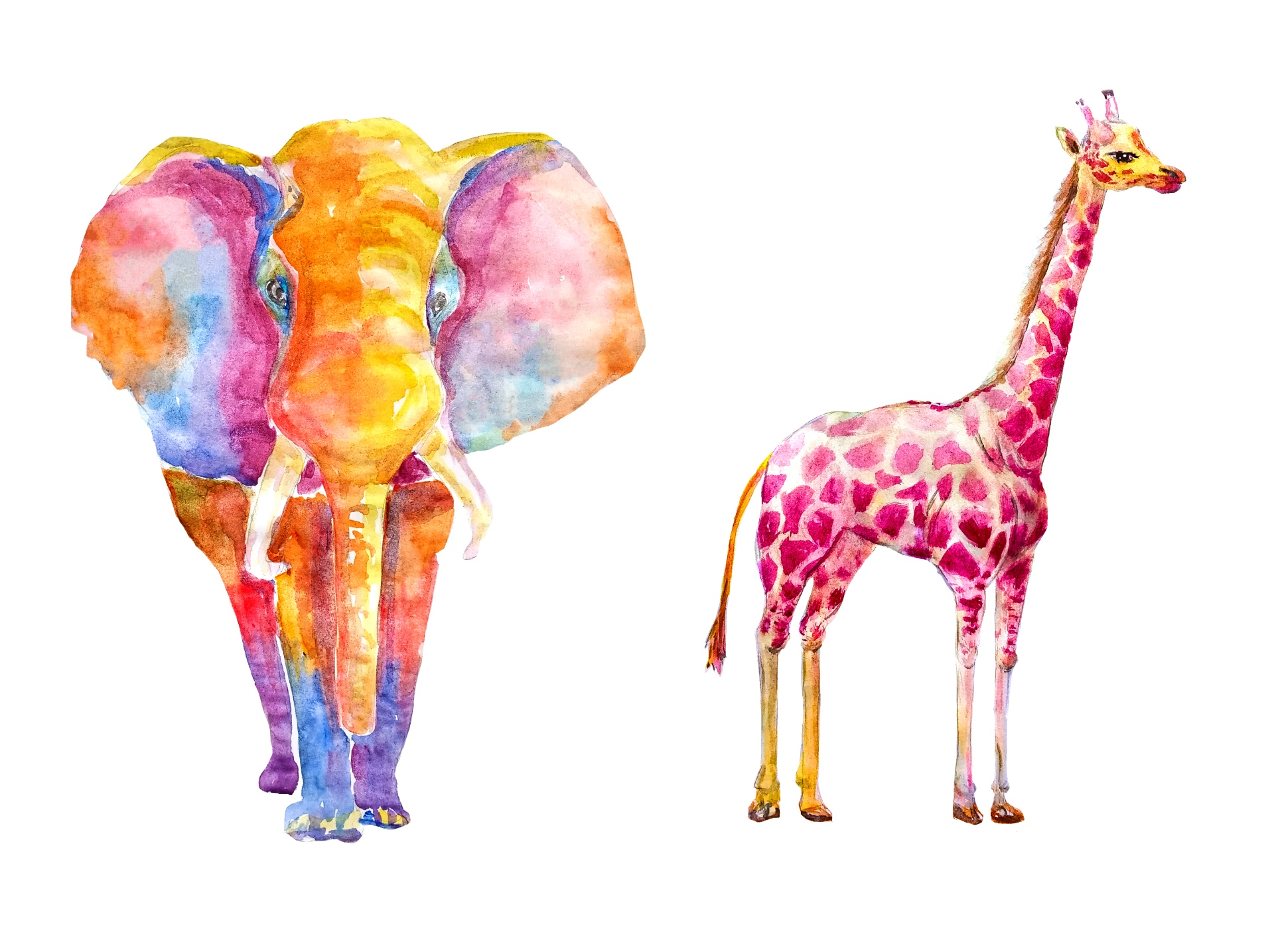 A watercolour painting of a colourful elephant and giraffe.
