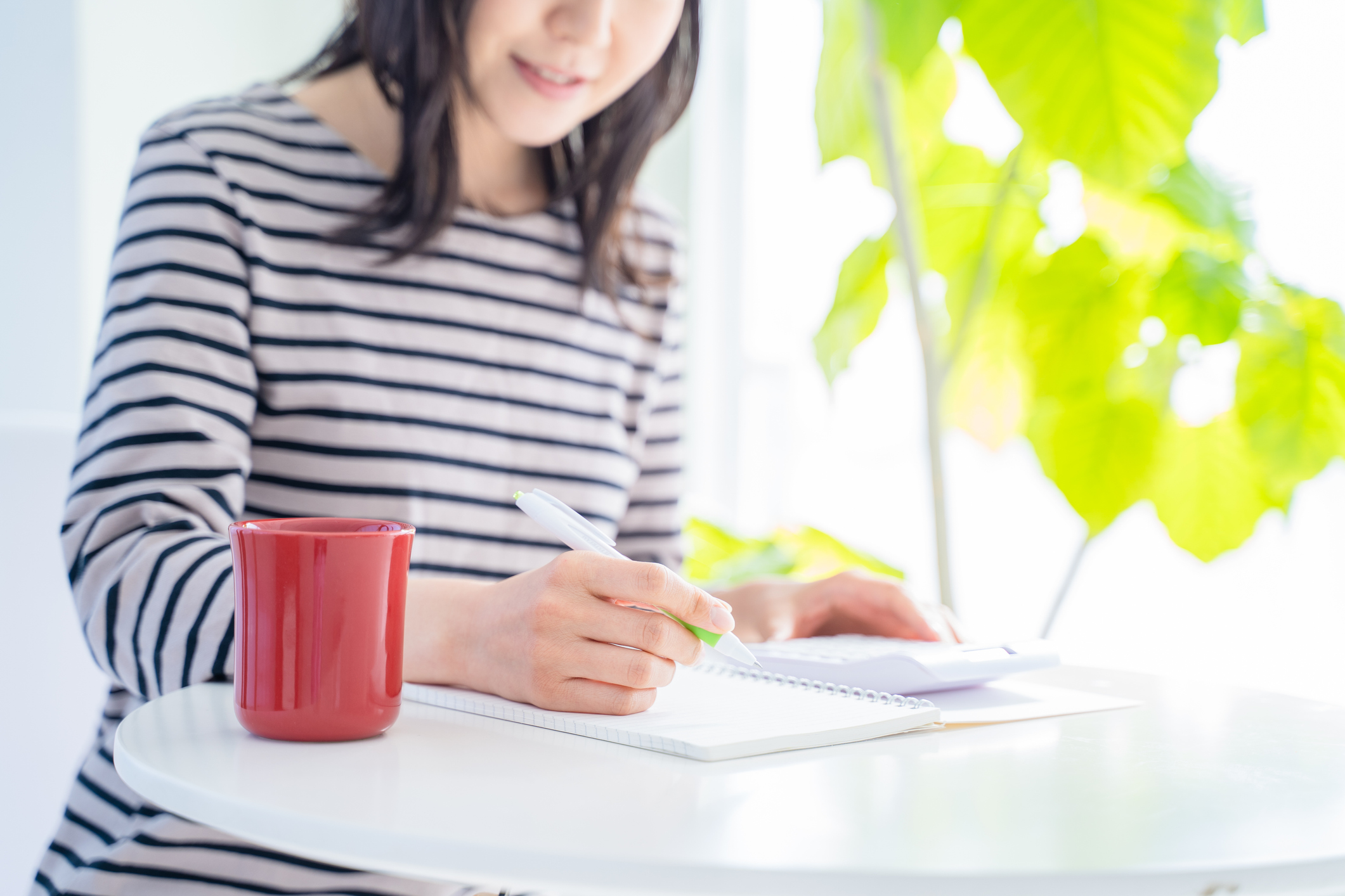 Lesson 2: What is a weekly budget?