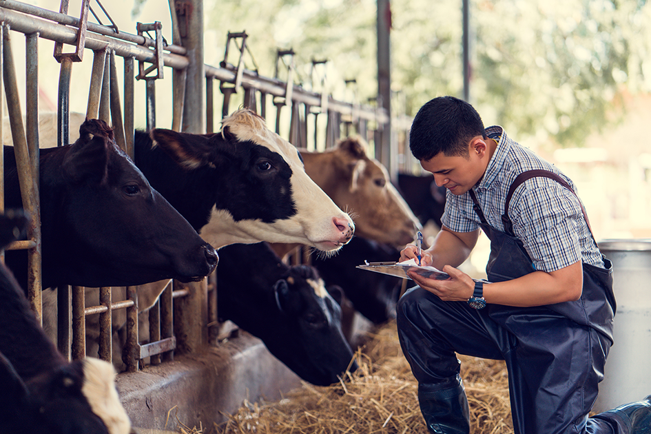 Lesson 1: From farm to fork