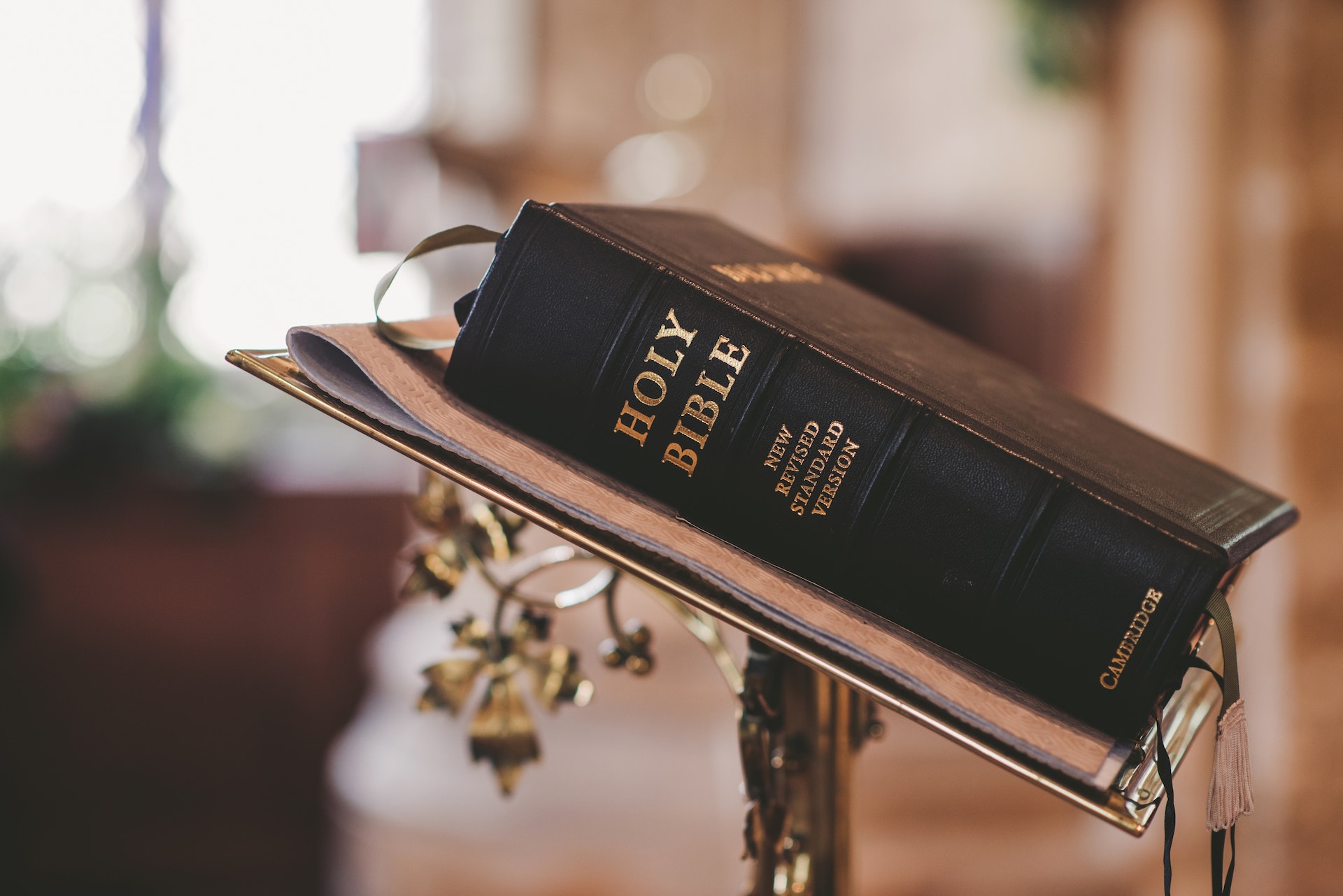 Lesson 4: How are some scriptures both similar and different?