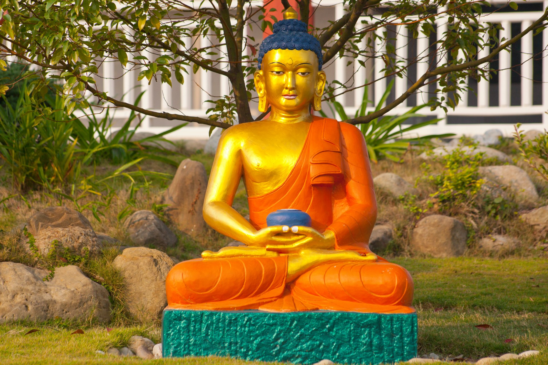 Lesson 3: How do some people overcome suffering?