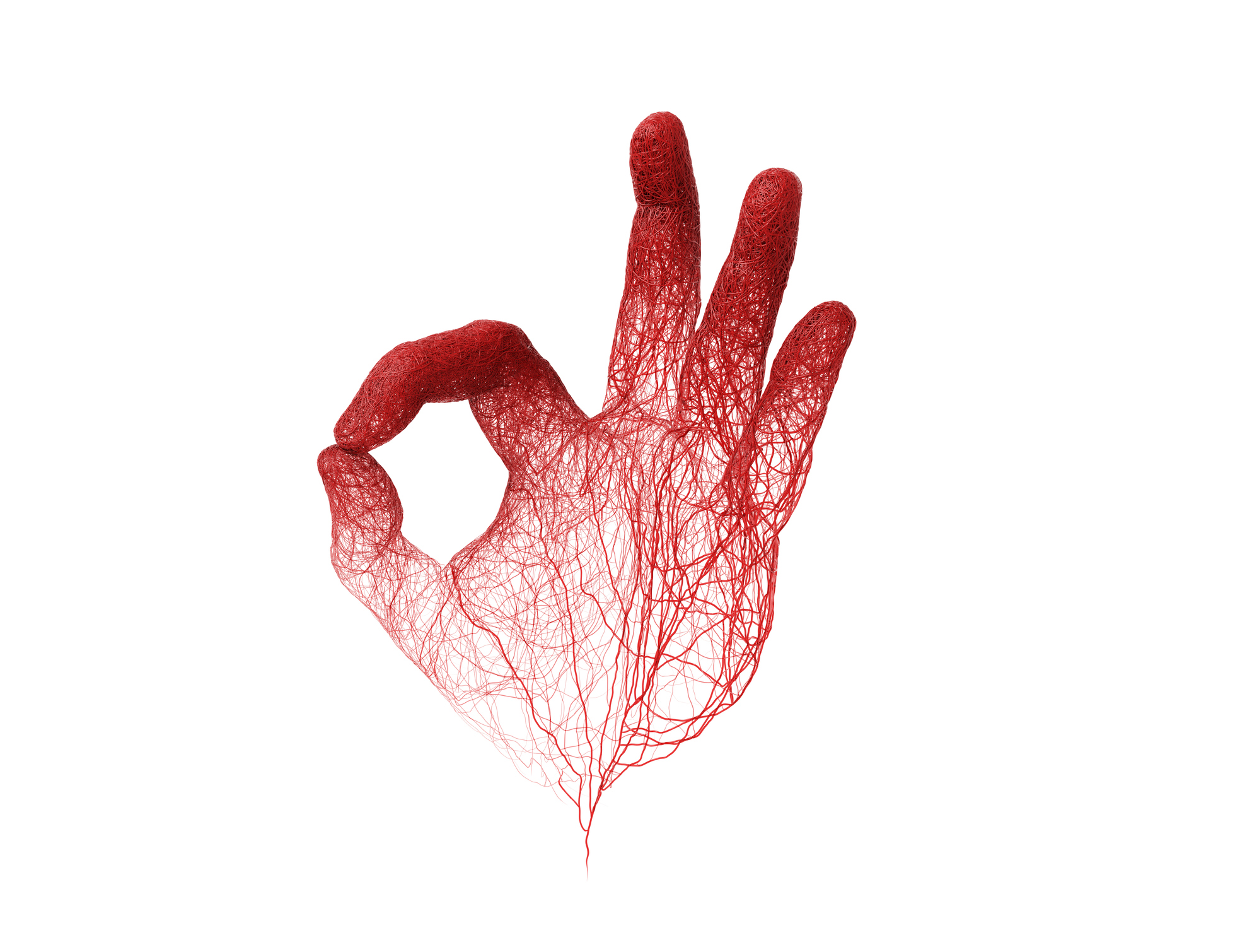 Blood vessels in the hand