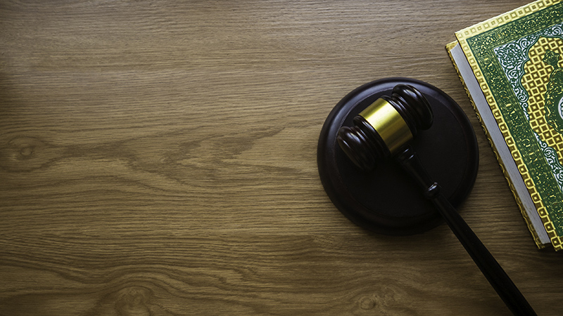 Lesson 1: How are laws created?