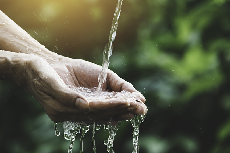 Lesson 1: Why is water important?