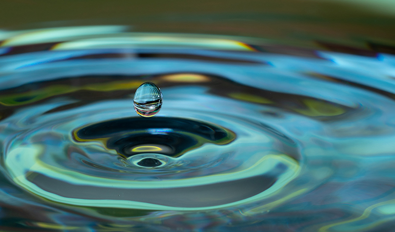 Making connections: How does the flow of liquids compare?