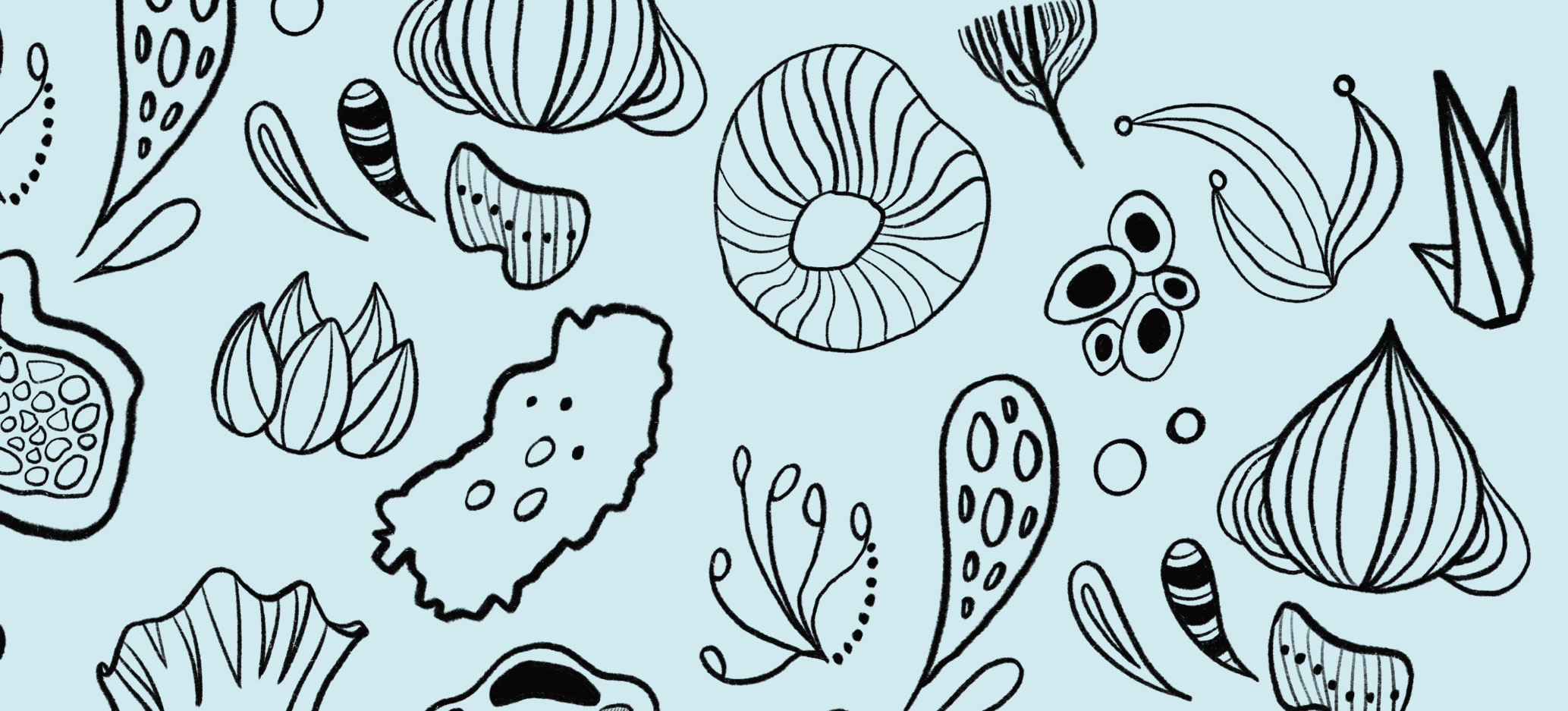 Drawing: Developing drawing skills