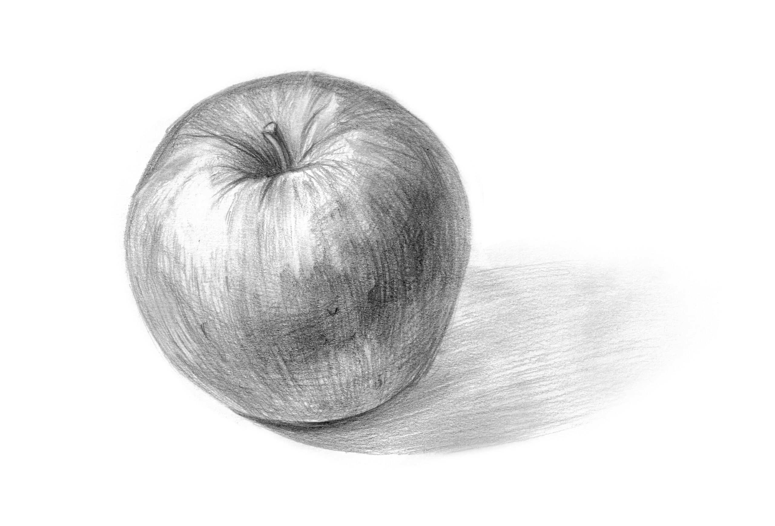 Карандашный набросок яблока